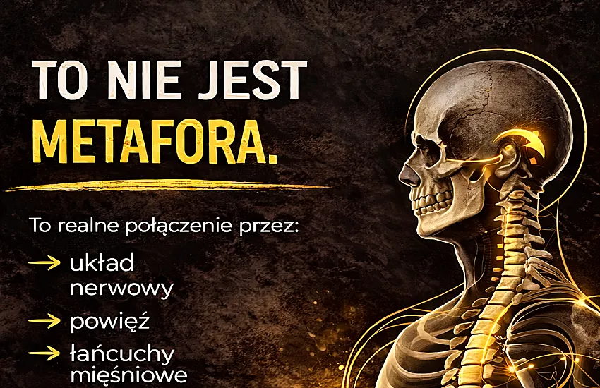 Twarz jest wyrazem organizacji systemowej ciala. Ból żuchwy to nie tylko ból żuchwy. 