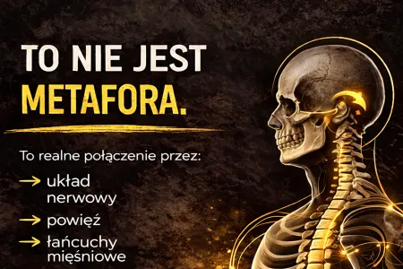 Twarz jest wyrazem organizacji systemowej ciala. Ból żuchwy to nie tylko ból żuchwy. 